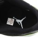 Authentic AJ 11 Low Top Super A Green Snake Skin 